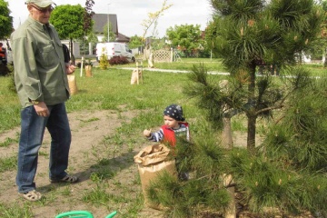Nowy park Ojców w Niesłuszu. Dzieci mają swoje drzewa