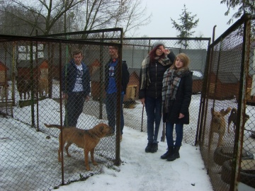 Młodzi działacze PCK pomagają schronisku dla zwierząt