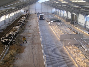 AGROBUDOWA - budynki inwentarskie, przemysłowe, konstrukcje