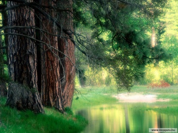 SKLEP ZIELARSKO-MEDYCZNY "NATURA-LEK"