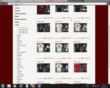 MTRADE Michał Nowicki