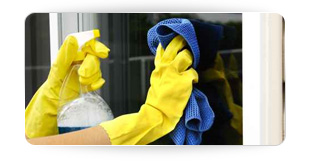 Firma Sprzątająca DEXTER Aleksandra Powicka