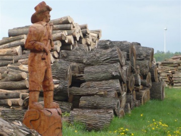 Zakład Przetw&oacute;rstwa Drewna