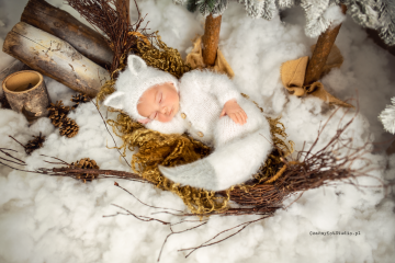 Czarny Kot Studio - Fotografia