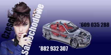 Radosław Korzeniewski RADEX