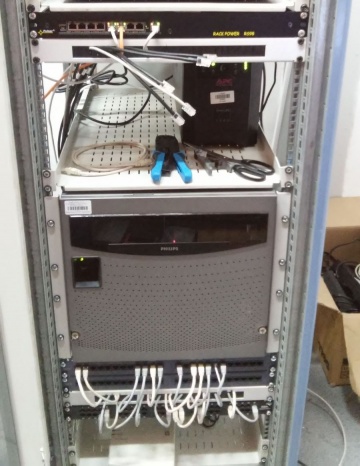 Interactive Tiger Ewa Jacolik