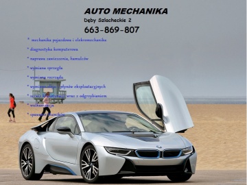 Z.U.H AUTO-MECHANIKA Kamiński Dawid