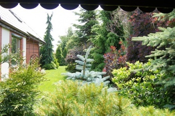 GREEN  SERWIS OGRODY-TRAWNIKI-NAWADNIANIE