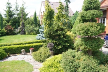 GREEN  SERWIS OGRODY-TRAWNIKI-NAWADNIANIE