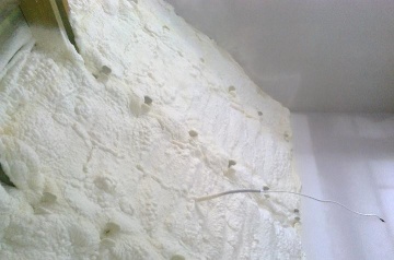 Ocieplanie pianami natryskowymi poliuretanowymi - AIWILO