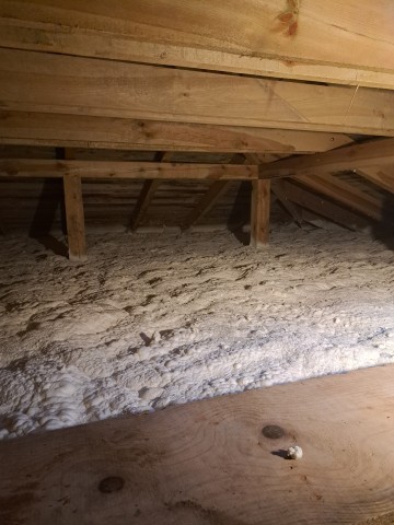 Warmingpur Piotr Jasiński