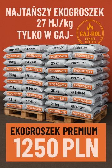 Gaj-ROL Adam Tomaszewski