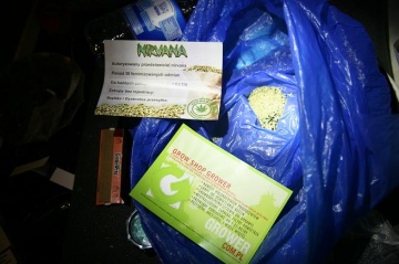 CBŚ zlikwidował plantację