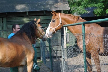 Baśka zamieszkała w parku