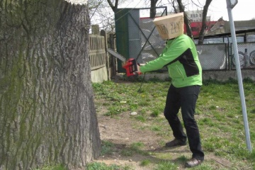 Zbierali podpisy w obronie dębu Zawiadowcy