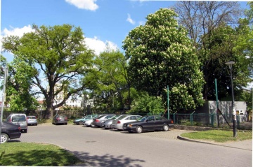 Konińskie wspomnienia: Jak park stał się parkingiem
