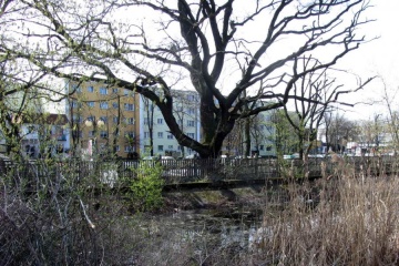 Konińskie wspomnienia: Jak park stał się parkingiem