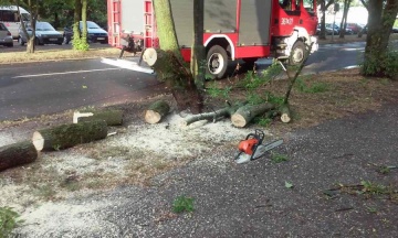 Strażacy obcinali nadłamane gałęzie przy ulicy Wyzwolenia