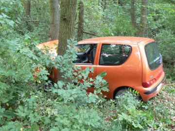 Fiat seicento uderzył w drzewo. Kobieta trafiła do szpitala