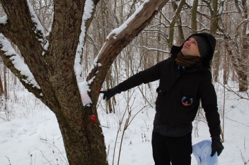 Porządki przy ulicy Południowej. Powstanie sad owocowy
