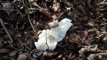 12962659_1041857552548896_1769431690_o