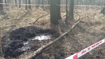 12941193_1041857582548893_281808235_o