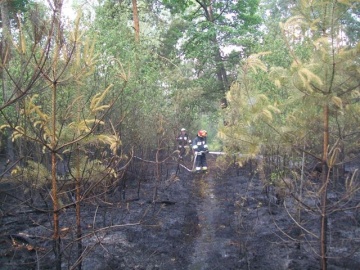 Osiem zastępów strażackich walczyło z pożarem suchej trawy