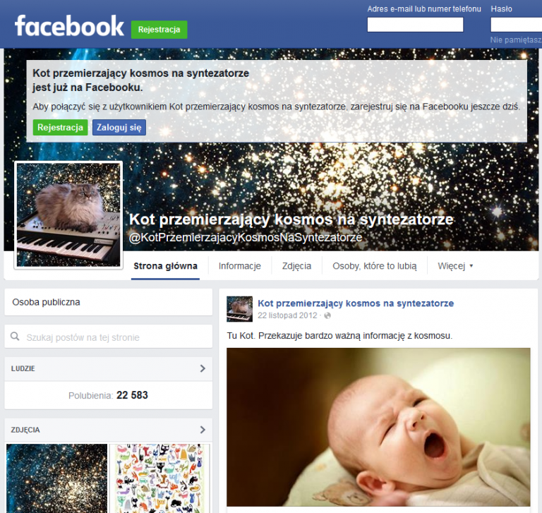 Kociarze całego świata, łączcie się - czyli internet kotami stoi