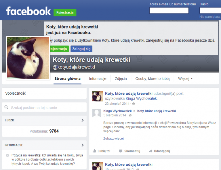 Kociarze całego świata, łączcie się - czyli internet kotami stoi