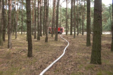 Pożar lasu. Z ogniem przez kilka godzin walczyło 30 strażaków