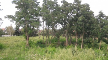 20160727_150035_resized