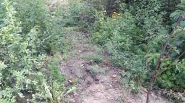 20160727_150305_resized