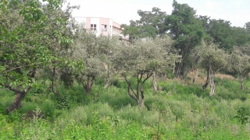 20160727_150334_resized