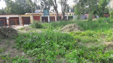 20160727_150348_resized