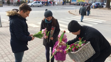 Ponad 100 tulipanów od portalu LM.pl z okazji Dnia Kobiet