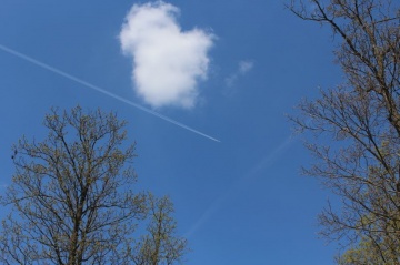 1494704463-3uuyrj-img_2437.jpg