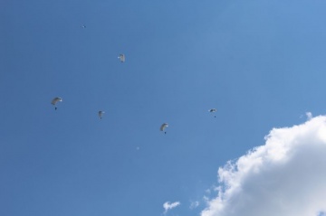 1494704464-a4k6_m-img_2439.jpg
