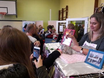 Pokaz kotów rasowych w Koninie. Przyjechali hodowcy z całego kraju