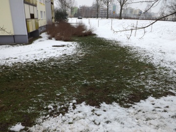 Po śniegu na osiedlu Zatorze tworzą się wzory na trawnikach