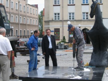 Koń stanie na rynku