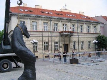 Koń stanie na rynku