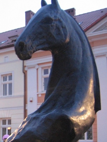 Jak zostaliśmy zrobieni w konia