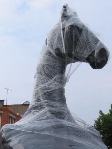 Jak zostaliśmy zrobieni w konia