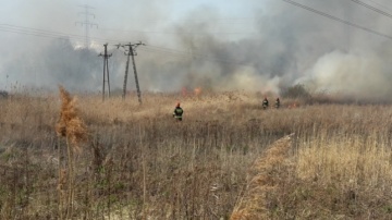 Na terenie miasta i powiatu odnotowano już 50 pożarów traw
