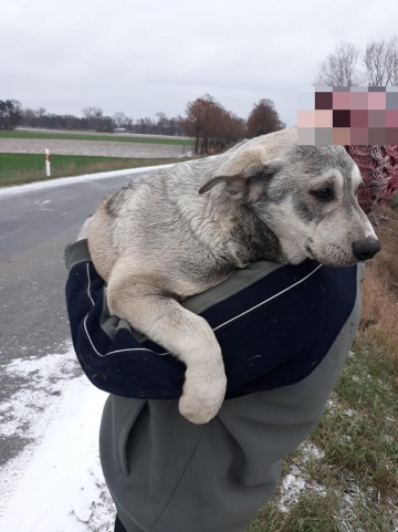 Milin. Druhowie ochotnicy uratowali uwięzionego w studzience psa