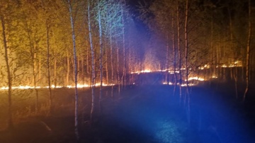 Pożar w Bilczewie. Płonęła sucha trawa, poszycie leśne i drzewa