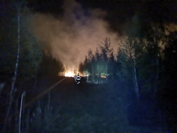 Pożar w Bilczewie. Płonęła sucha trawa, poszycie leśne i drzewa