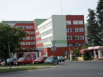 Świńska grypa w Koninie