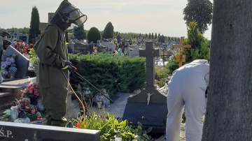 Kramsk. Parafia ostrzega przed gniazdami owadów na cmentarzu
