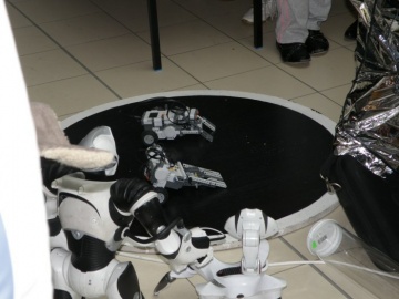 Świecący ogórek i inne eksperymenty